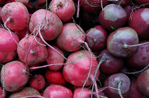 Fototapeta Red and purple  beets piled for market close-up