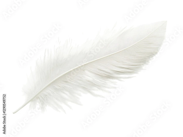 Fototapeta Elegant White Feather Closeup Photography: A Study in Texture and Light