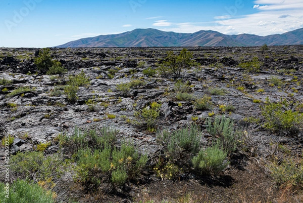 Fototapeta An expansive view of an arid rocky terrain showcases sparse vegetation clinging to life, illustrating nature's resilience in a harsh volcanic landscape under a clear blue sky.