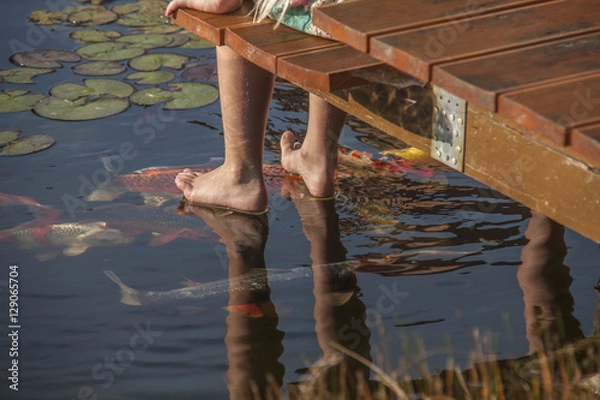 Obraz Koikarpfen im Teich