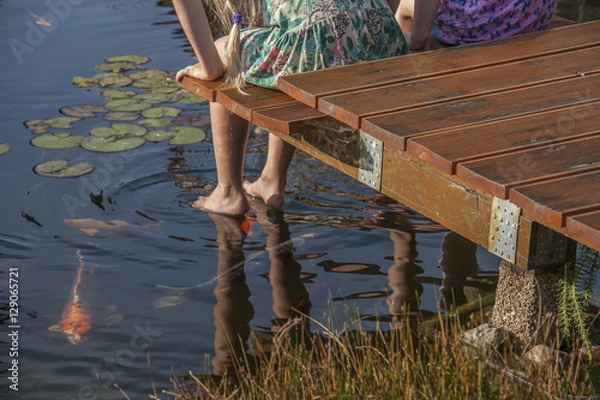 Obraz Koikarpfen im Teich