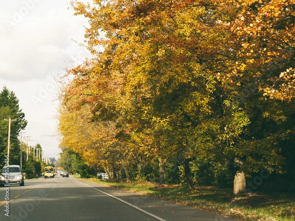 Fototapeta Sunny and warm autumn day in the Langley, canada, fall colour in , high iso in lowlight, more noisy grain, shallow deep of field, 400, gausion blur, , dark , blended, motion