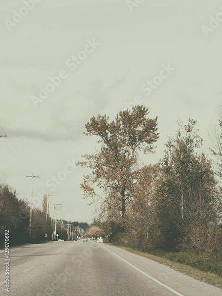 Fototapeta Sunny and warm autumn day in the Langley, canada, fall colour in , high iso in lowlight, more noisy grain, shallow deep of field, 400, gausion blur, , dark , blended, motion