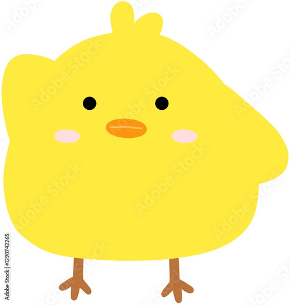 Fototapeta 병아리