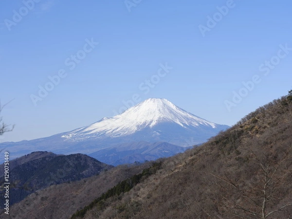 Obraz 富士山