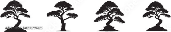 Obraz Bonsai black tree silhouette, isolated on white background