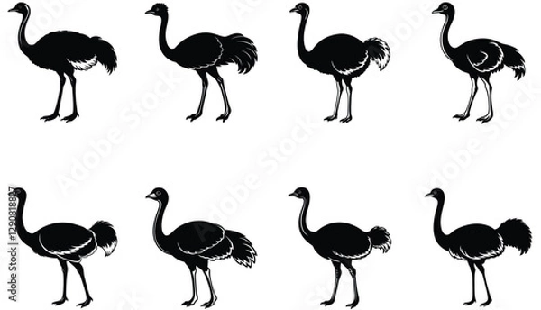Obraz Ostrich vector shilhouette bundle.  Ostrich set
