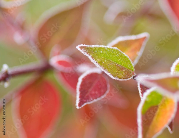 Fototapeta Winterzauber