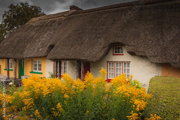 Fototapeta An Enchanting Thatched Cottage Nestled Amidst a Vibrant Display of Bright Flowers. Adare, Ireland 07.21.2019. Thatched cottage in the picturesque Village of Adare, Co. Limerick 2019 Ireland, Europe