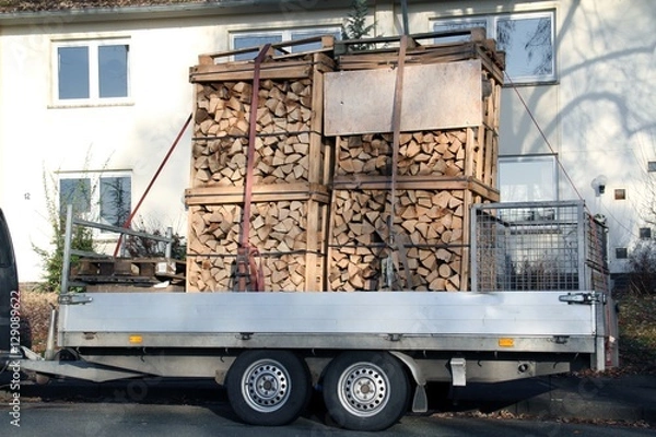 Obraz Großer PKW-Anhänger beladen mit Brennholz