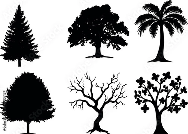 Fototapeta Tree bundle design silhouette vectors