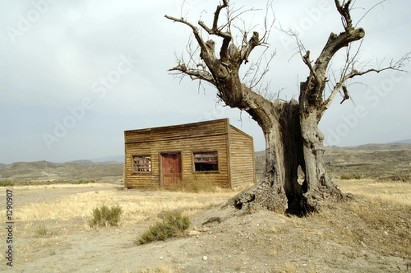 Obraz abandoned farmstead