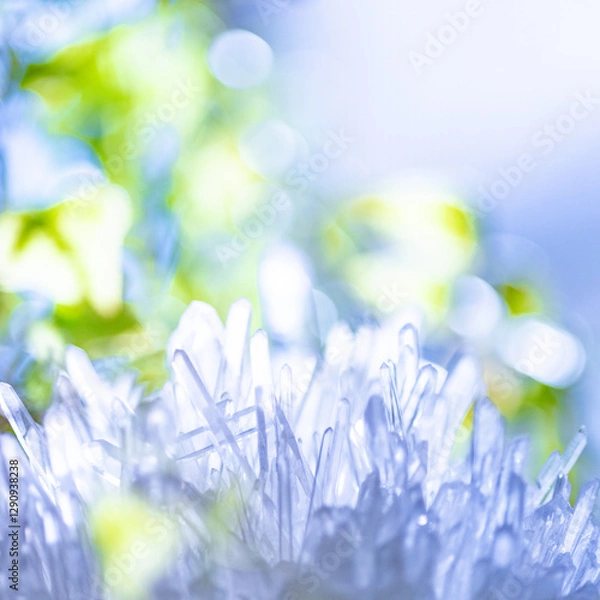 Obraz 水晶クラスターと観葉植物（正方形）