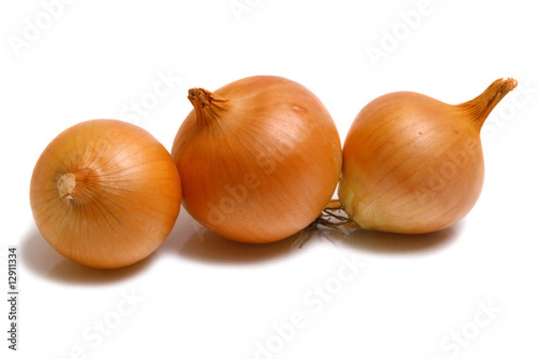 Obraz onion