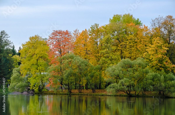 Obraz Autumn landscape in the Park with a lake