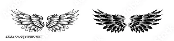 Fototapeta Angel Wing Vector Scetch Designs Collection