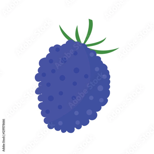 Obraz Illustration of a blue blackberry with green leaves, showing textured dots and round shape.
