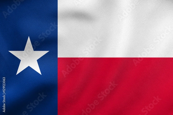 Fototapeta Flag of Texas waving, real fabric texture