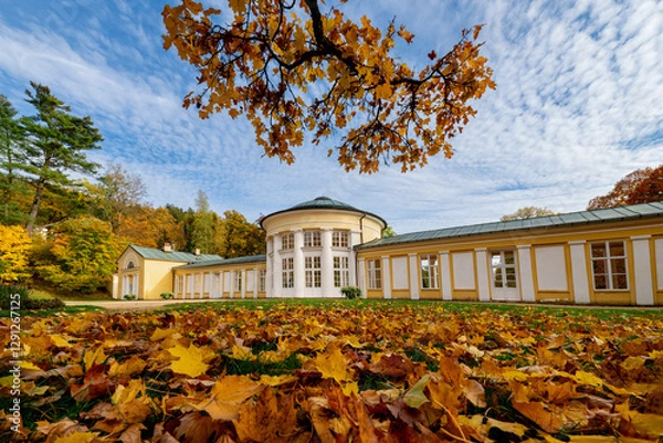 Fototapeta Spa architecture - colonnade of cold mineral water spring Ferdinand - autumn in the park of great spa town Marianske Lazne (Marienbad) in the western part of the Czech Republic (region Karlovy Vary)