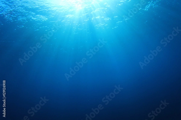 Fototapeta Underwater blue background in sea