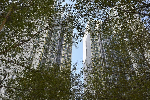 Fototapeta 香港の高層ビルと新緑