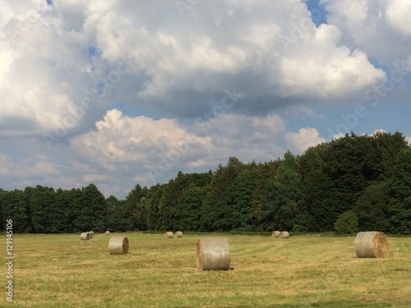 Obraz Wiese mit Heuballen