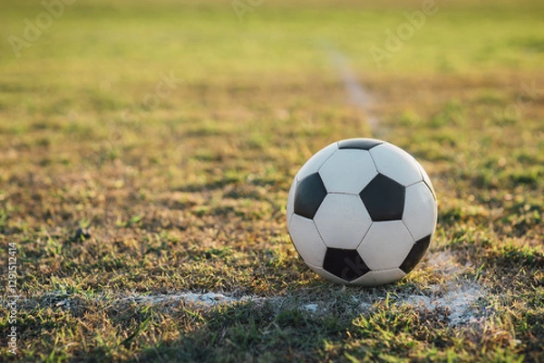 Fototapeta Soccer ball on green grass with copy space . Football sport concept.