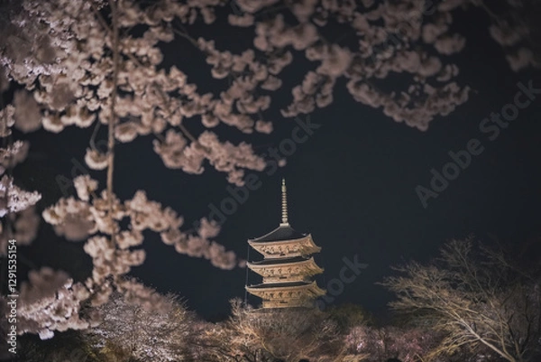 Obraz 桜 日本 京都