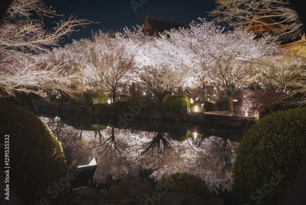 Obraz 桜 日本 京都
