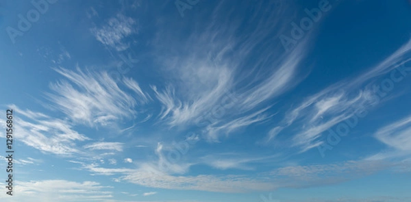 Fototapeta blue sky with clouds . nature background. blue sky with clouds and sun reflection. The sun shines bright in the daytime in summer.