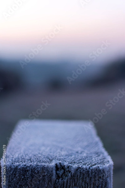 Fototapeta Frosty morning close ups.