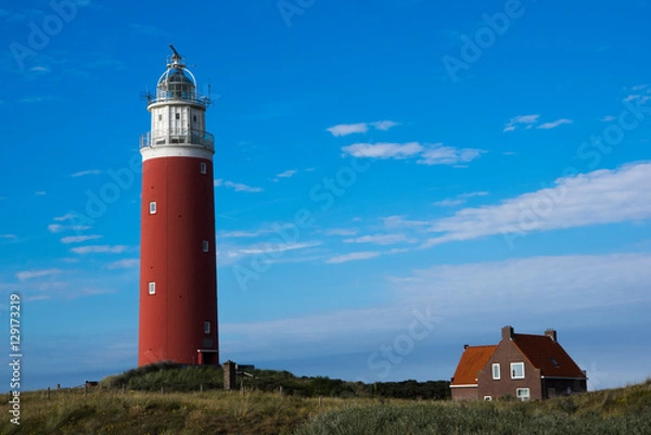 Obraz Texel