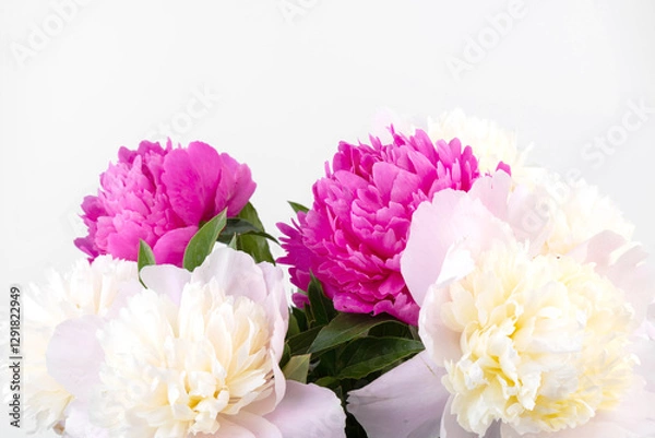 Obraz Floral spring background. Pink peonies and petals. Close-up. Soft focus. Nature