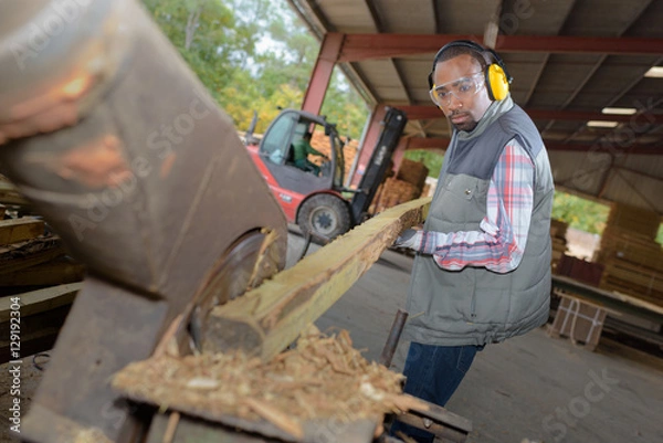 Fototapeta Man at work in sawmill