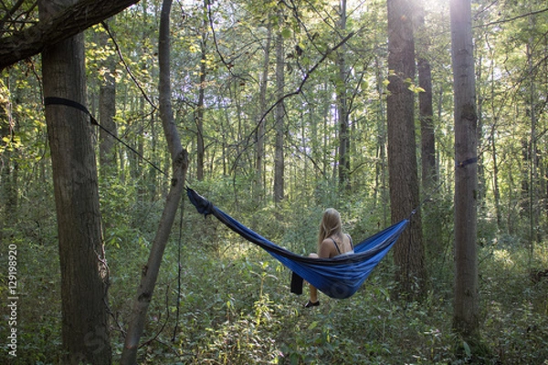 Obraz Into the woods