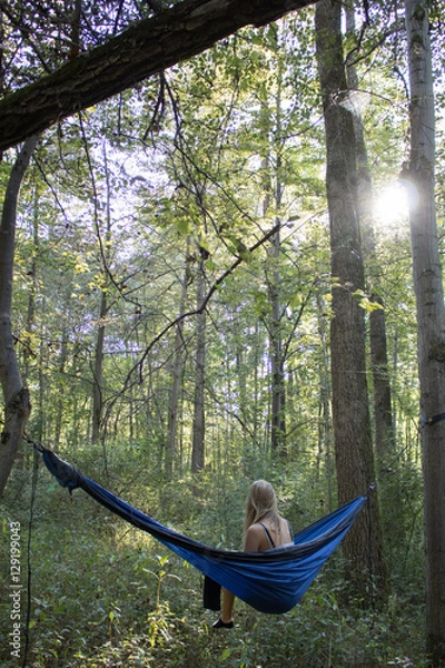 Obraz Into the woods