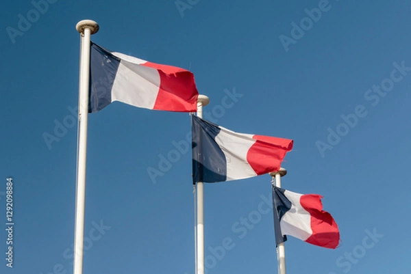Obraz three flags of France, French flag