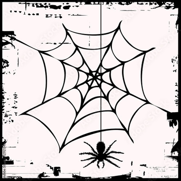 Fototapeta spider