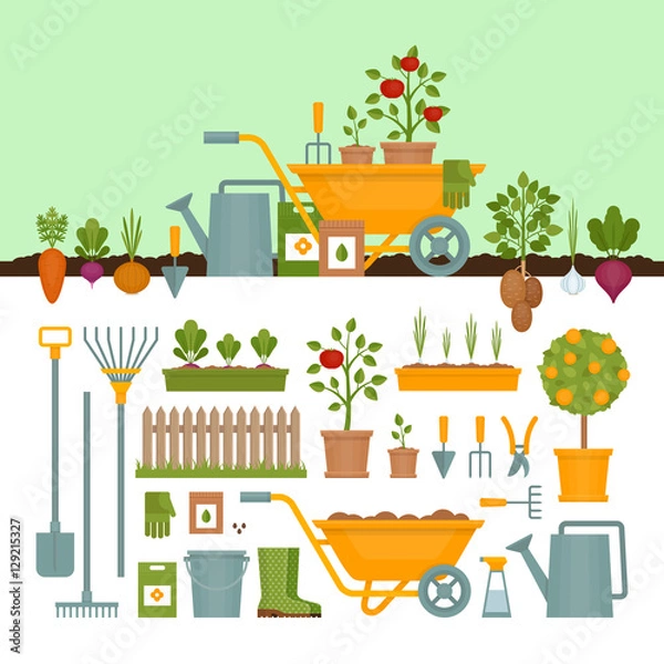 Obraz Vegetable garden. Garden tools. Banner with vegetable garden. Flat style, vector illustration. 