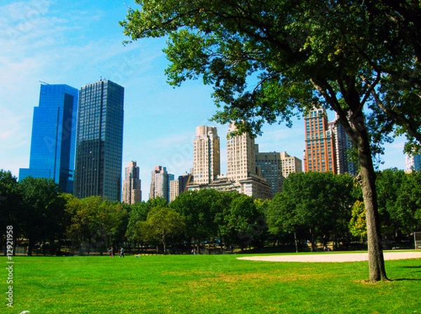 Fototapeta Central Park