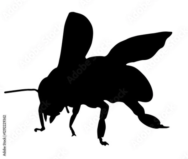 Fototapeta Bee silhouette
