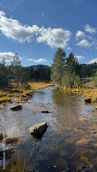 Obraz River in the mountains