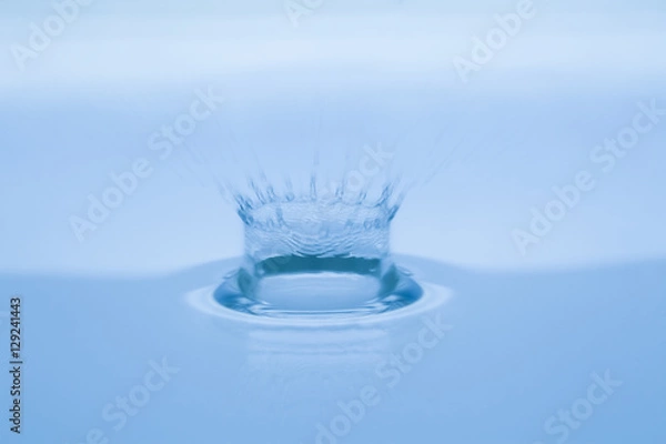 Obraz 水面のウオータークラウン