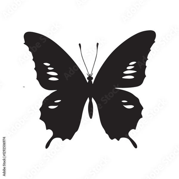 Obraz Beautiful Butterfly Silhouette Art. butterfly on a white background. butterfly, silhouette, black butterfly and butterfly art.