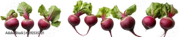Fototapeta row of fresh. vibrant radishes with green leafy tops. showcasing their natural colors and textures this composition highlights the appeal of fresh produce. emphasizing health and nutrition