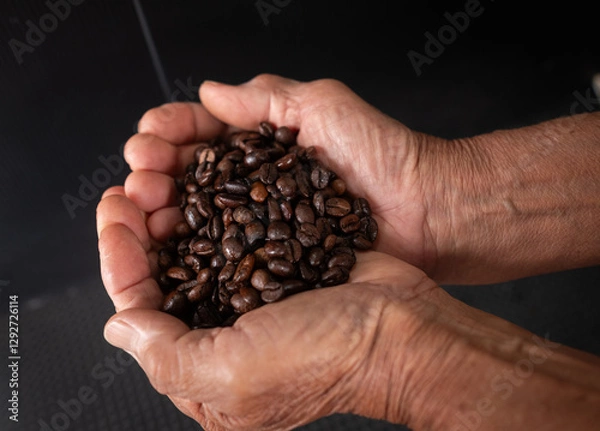 Fototapeta Close-up of a man holding a roasted coffee bean.