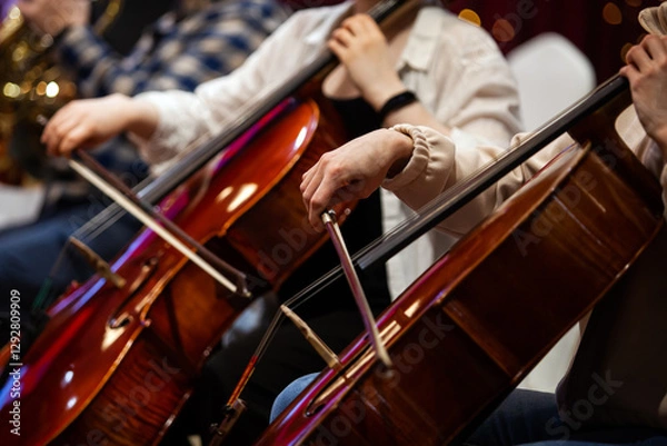 Fototapeta A fragment of cellos in the hands of musicians in an orchestra 