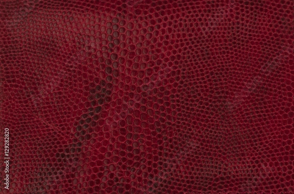 Fototapeta red leather texture
