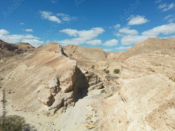 Obraz Tectonic plates in the Arava desert