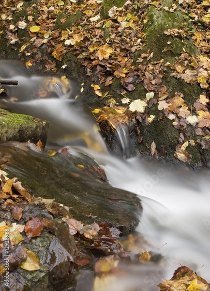 Obraz Little water fall